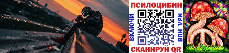 Псилоцибиновые грибы Psilocybine cubensis  Татарск 
