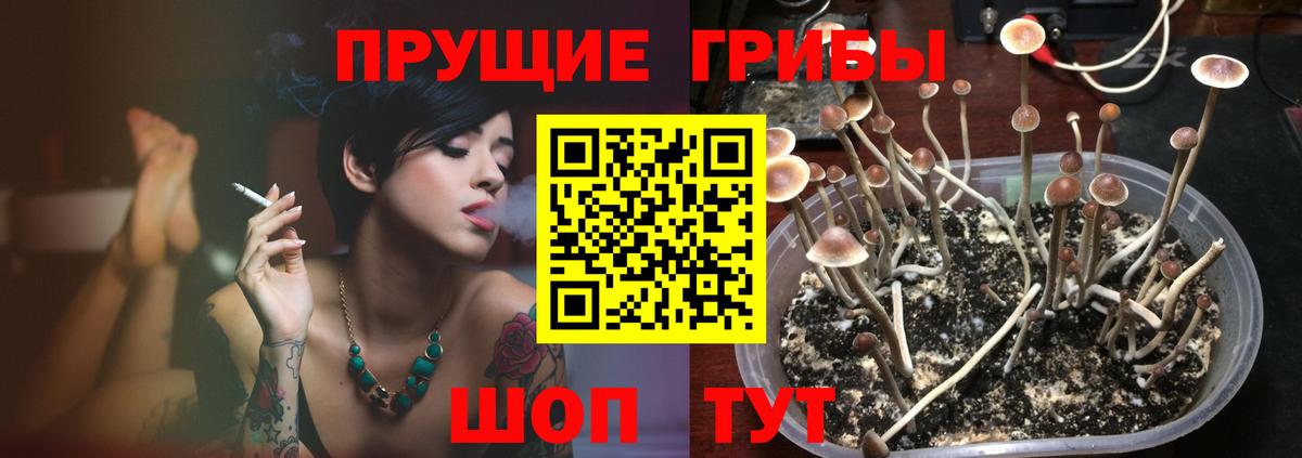 Псилоцибиновые грибы Psilocybe  Татарск  Псилоцибиновые грибы Magic Shrooms 